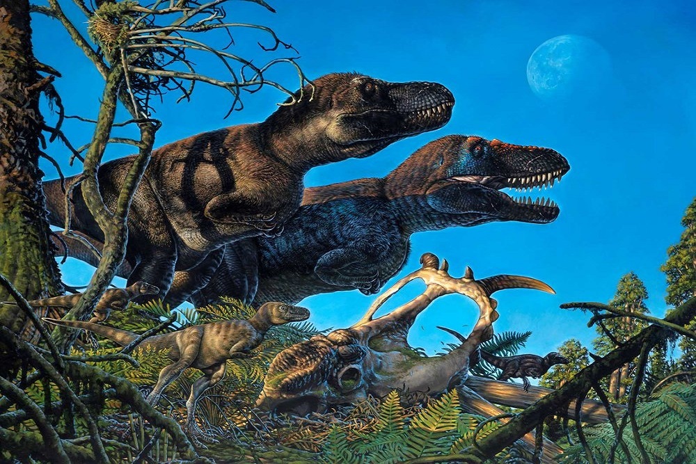 Family Dinosaur Discovery Field Trip