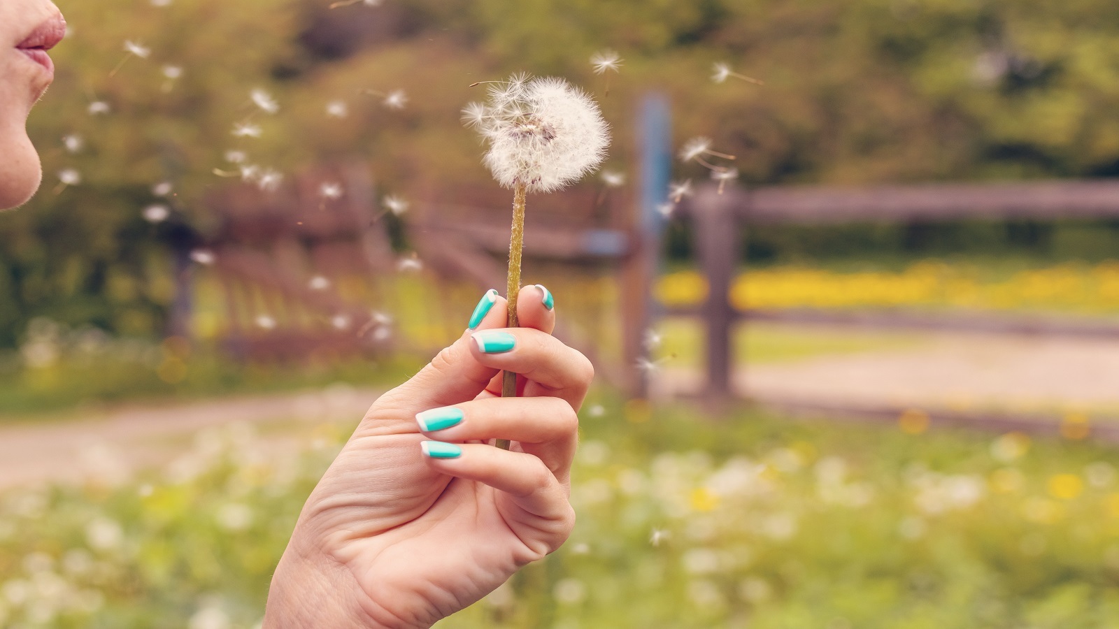 Allergy sufferers have multiple testing options to find out what they are allergic to and develop a treatment plan