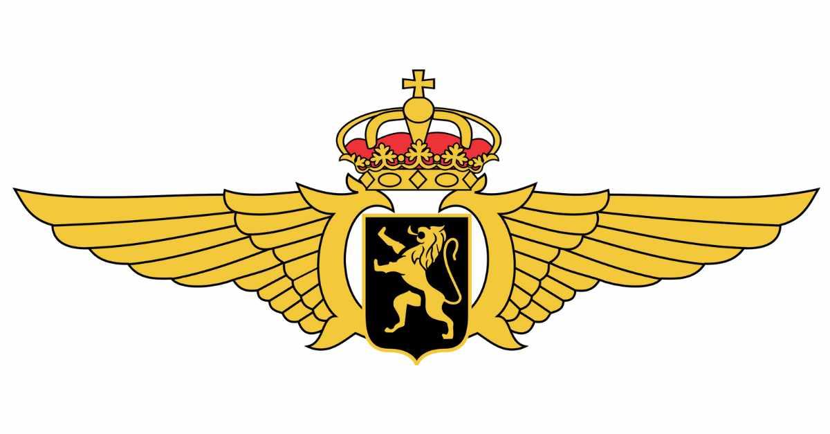 Belgian Air Component wings Belgian Air Component wings
