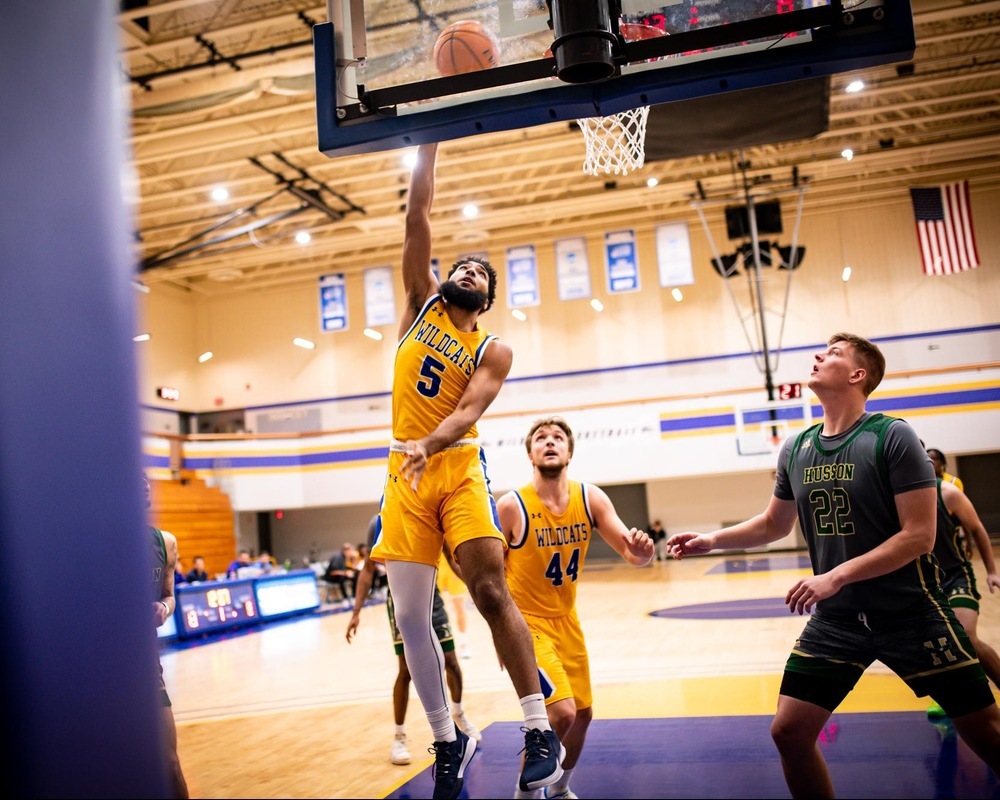 MBB: Wildcats Fall to 3-5 in NAC Play With 79-66 Loss at Delhi.