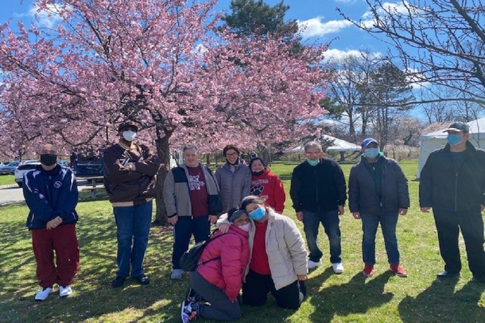 The Arc of Essex County: More cherry blossom fun