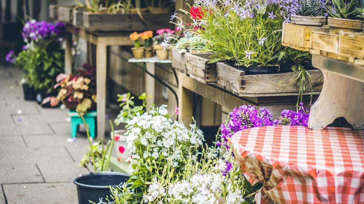 Attend a home and garden show, basketball game and more this week in Austin