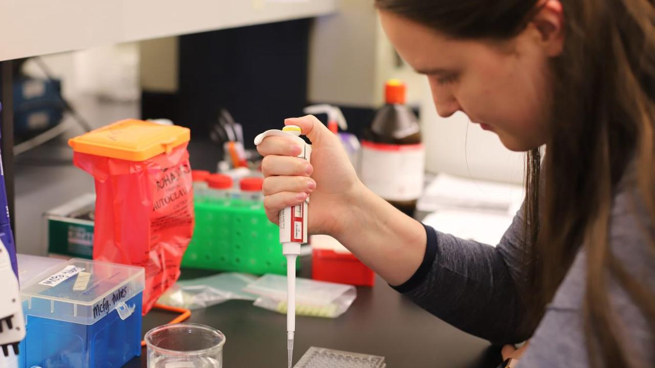 McGregor searches for consistency in forensics