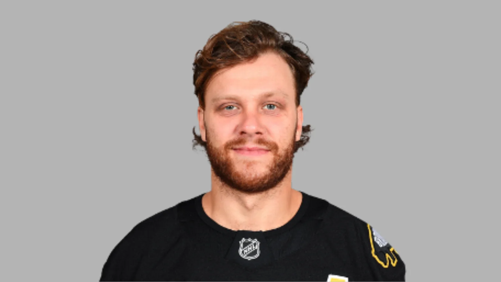 David Pastrnak, Boston Bruins Player David Pastrnak, Boston Bruins Player