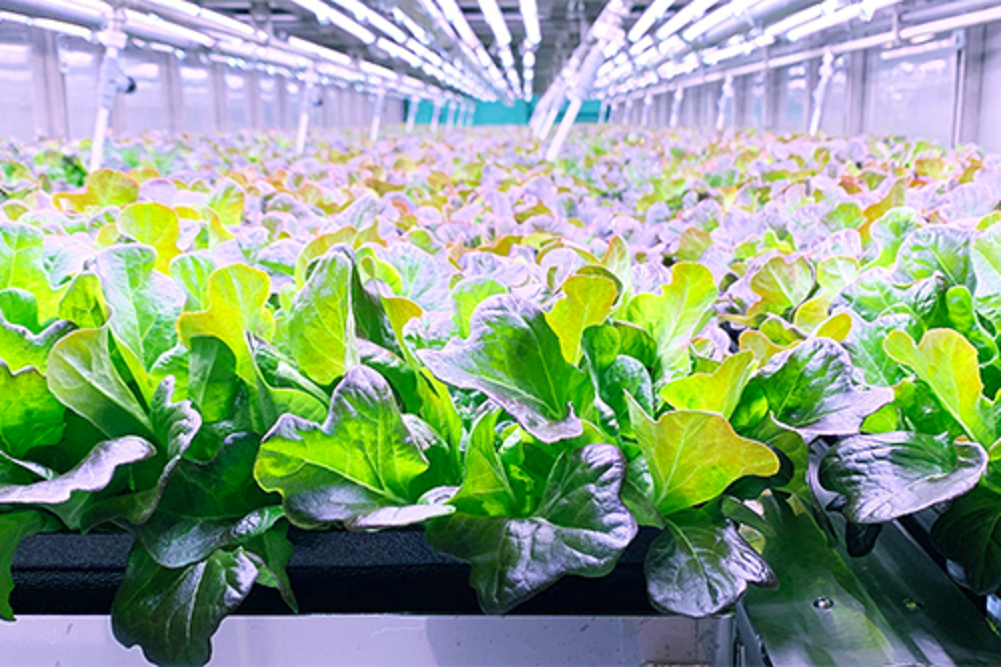 Kroger Announces Second Year of Go Fresh & Local Supplier Accelerator