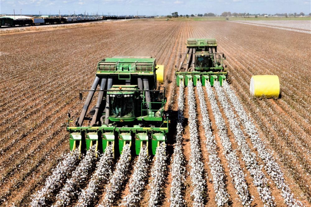 AgriLife Crop Production Protection Seminar on December 20 AgriLife Crop Production Protection Seminar on December 20