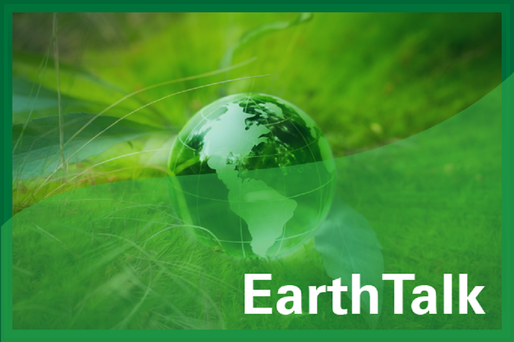 Hampton County Chamber of Commerce: EarthTalk: National Parks & Global Warming Hampton County Chamber of Commerce: EarthTalk: National Parks & Global Warming
