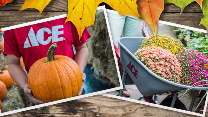 Ormond Ace Hardware held grand opening event last weekend