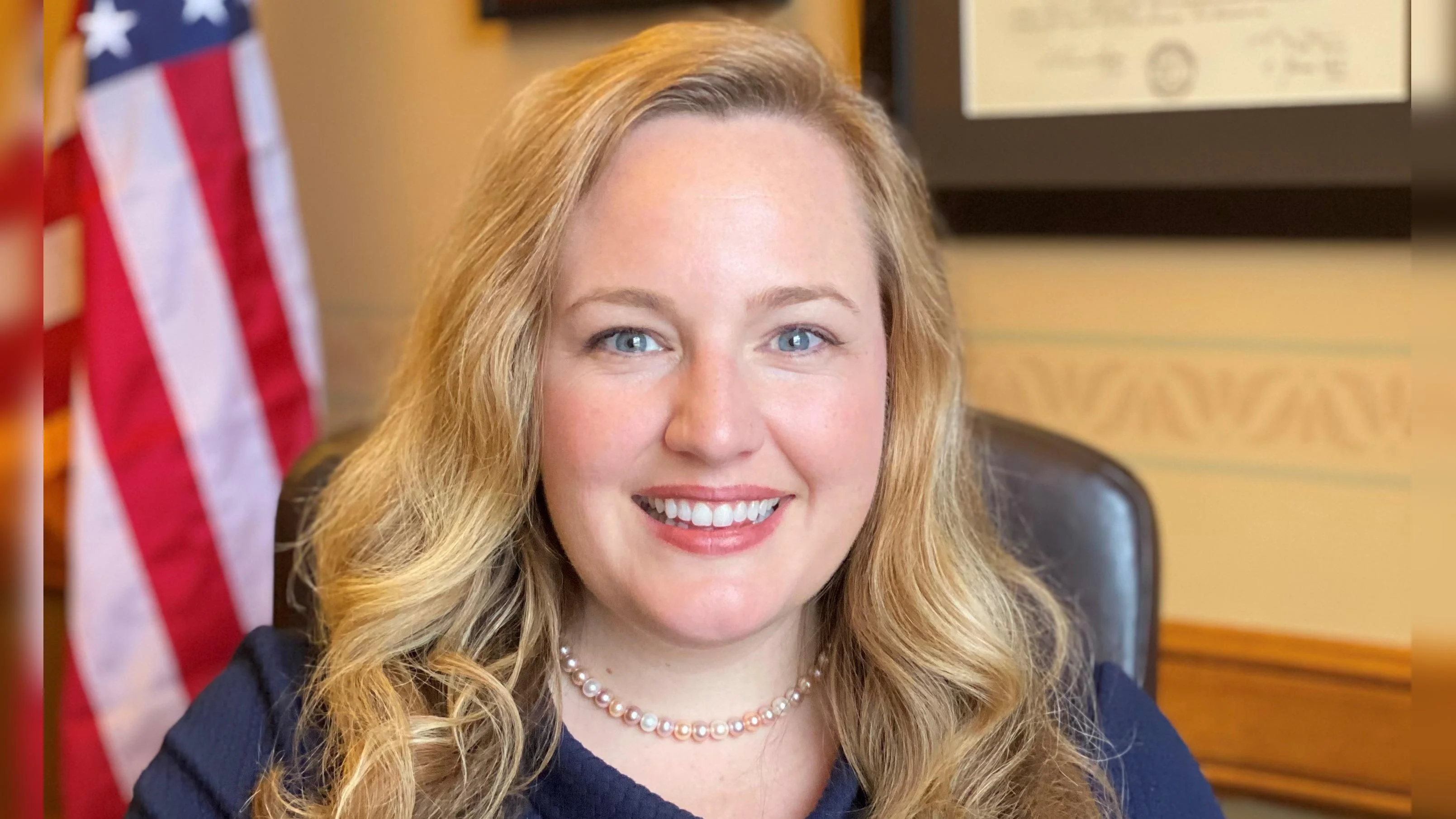 Senator Kelda Helen Roys Senator Kelda Helen Roys