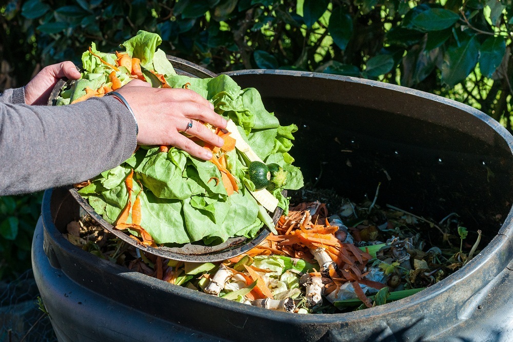 Outdoor Composting Exploration on April 14,2022