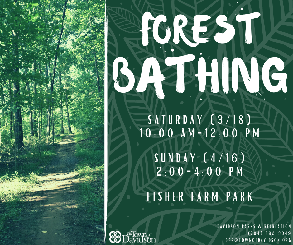 TOWN OF DAVIDSON: Forest Bathing Therapy
