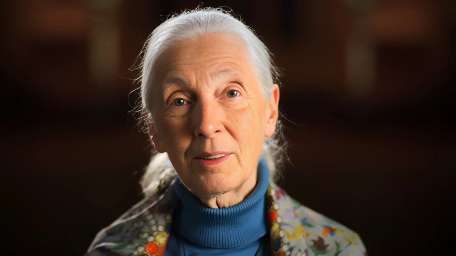 Jane Goodall, Research on Wild Chimpanzees in Tanzania