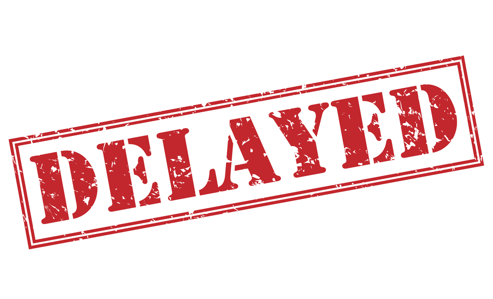 Project Has Been Delayed Project Has Been Delayed
