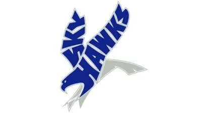 Deer Valley Skyhawks shut out by Tolleson Wolverines, 12-0 Deer Valley Skyhawks shut out by Tolleson Wolverines, 12-0