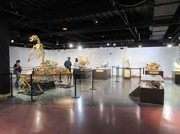 Louisiana Tech hosts SCILS meeting in Baton Rouge