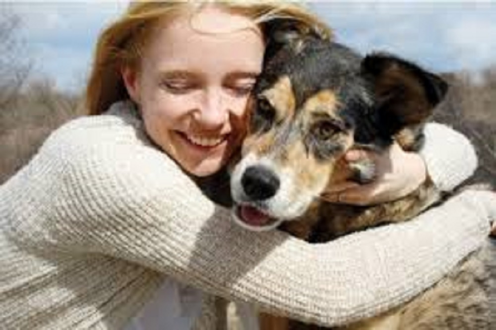 COUNTY OF ORANGE: Animal Services reminds pet owners about heat and hot car dangers