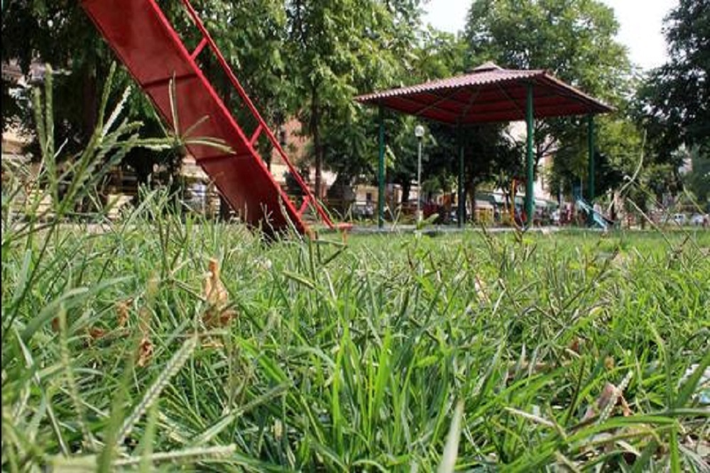 Job Opening: Park Maintenance I Job Opening: Park Maintenance I