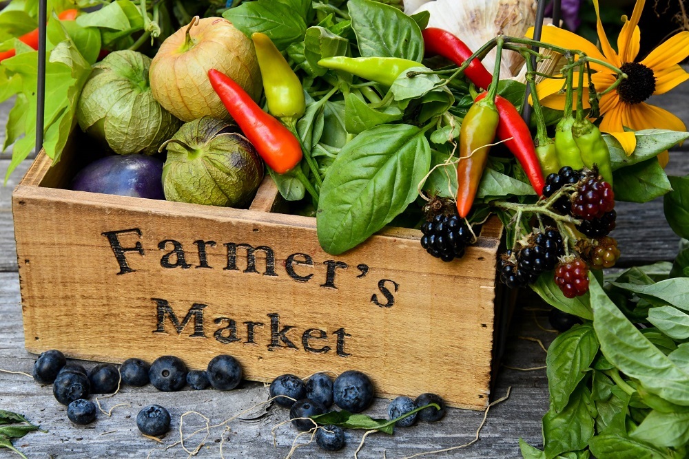 Summer Farmer’s Market on June 25