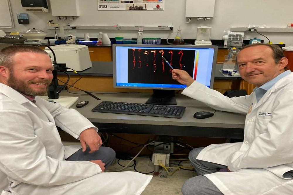 U.S. patent awarded to FIU researchers could be key to treating and preventing cardiovascular disease