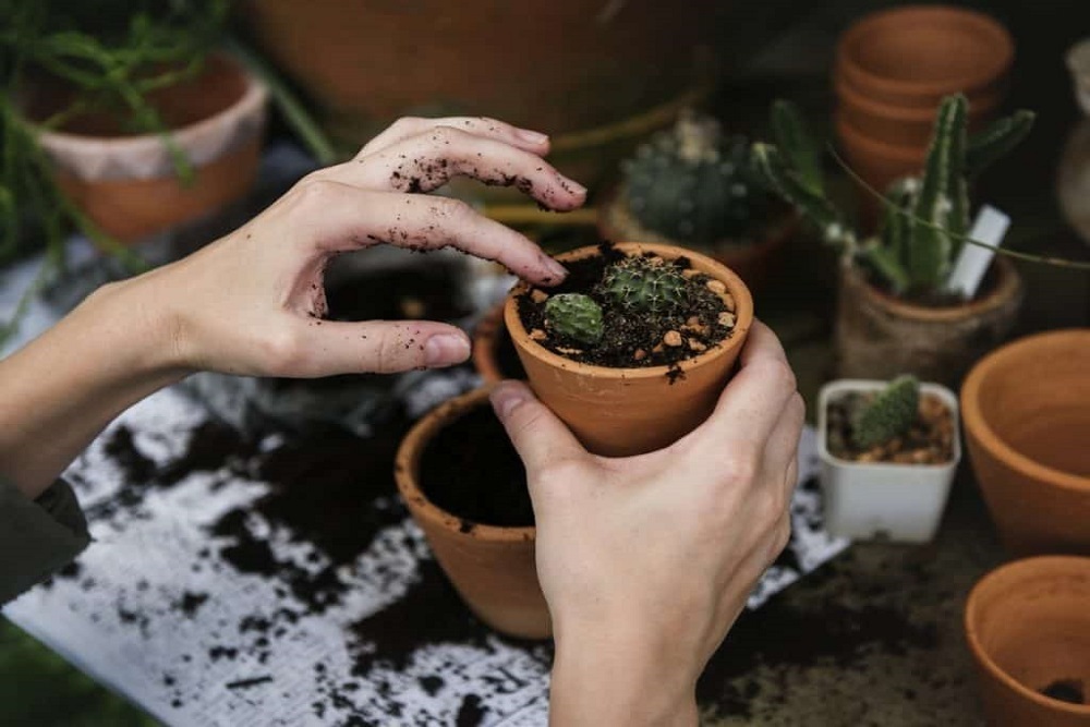 Home, Hobbies, & Wellness Show Event Information to be held March 11