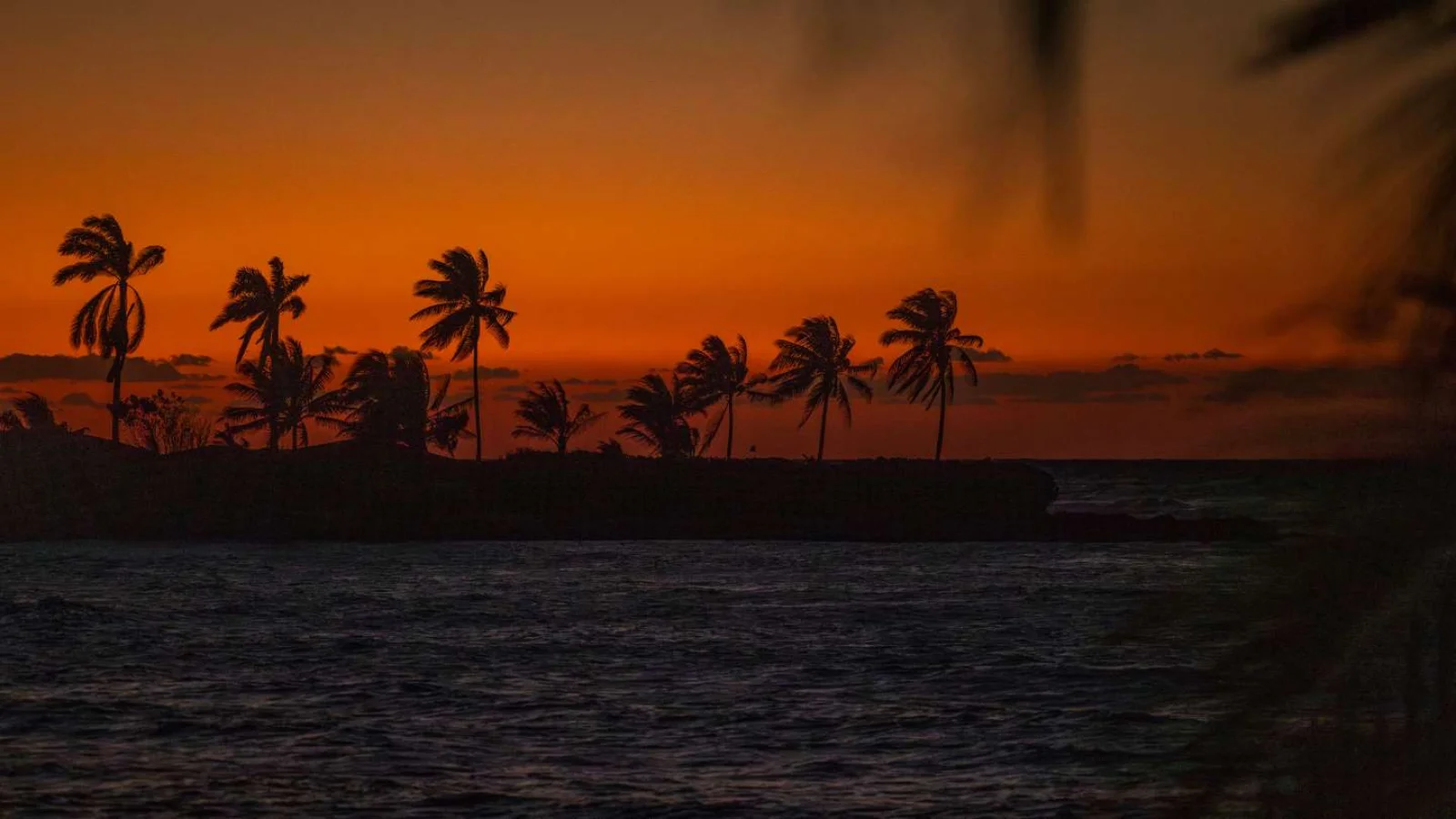 Community center hosts ‘Bye Bye Summer – Jamaica Edition’ with free family activities