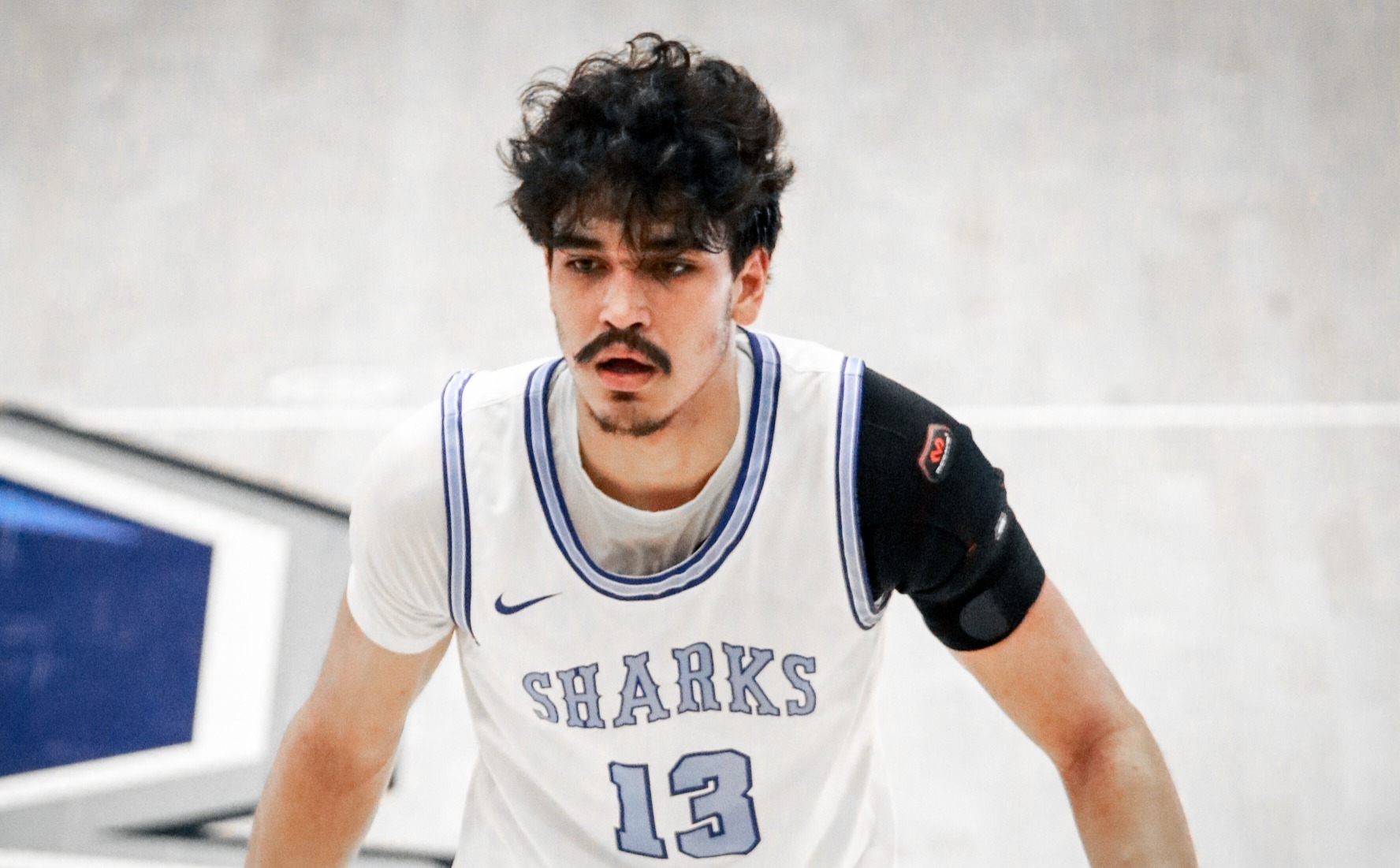 Pair of Sharks on Top 100 Bevo Francis Watch List Pair of Sharks on Top 100 Bevo Francis Watch List