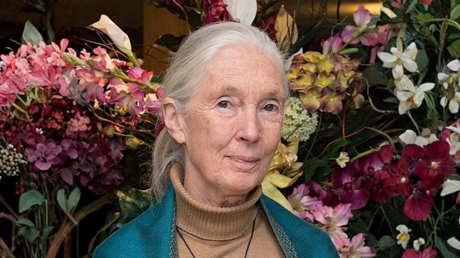 Jane Goodall, was an English primatologist and anthropologist Jane Goodall, was an English primatologist and anthropologist