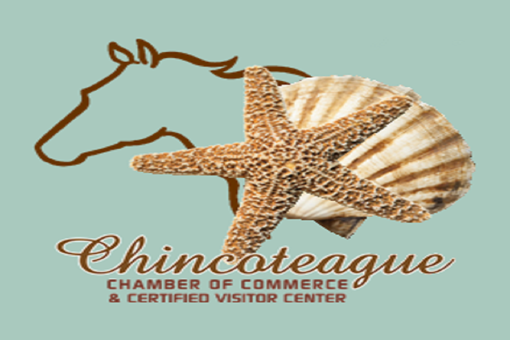 Fall Indoor Yard Sale