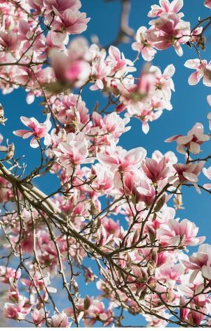 Hudson County residents are invited to have personal