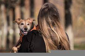 Penny, formerly known as Agatha, has the ultimate life of love that every pup dreams of!