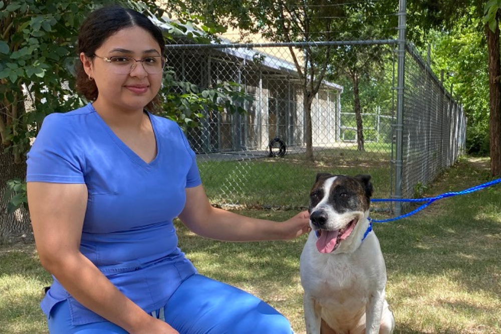 Dallas College’s Vet Tech Program Opens Its Doors to Dogs in Need