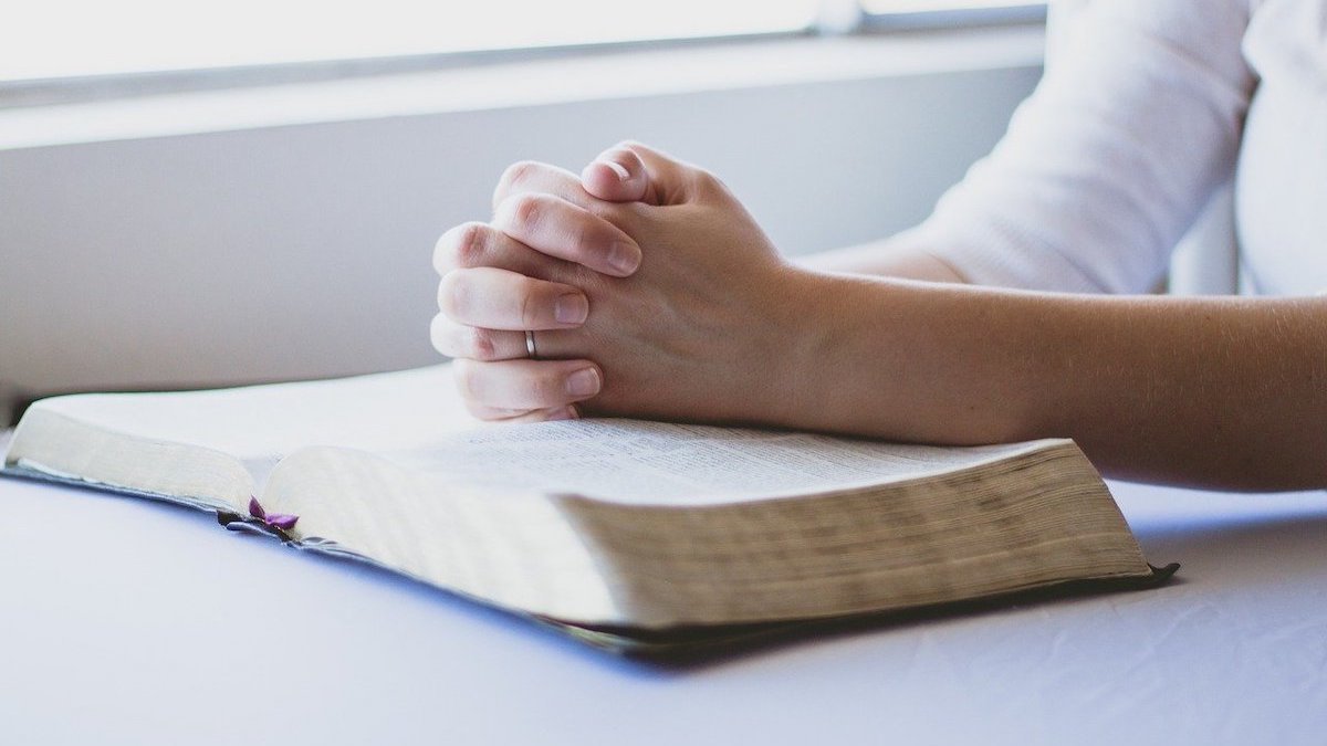 St. Paul Catholic Church shares homily on parables and allegories.
