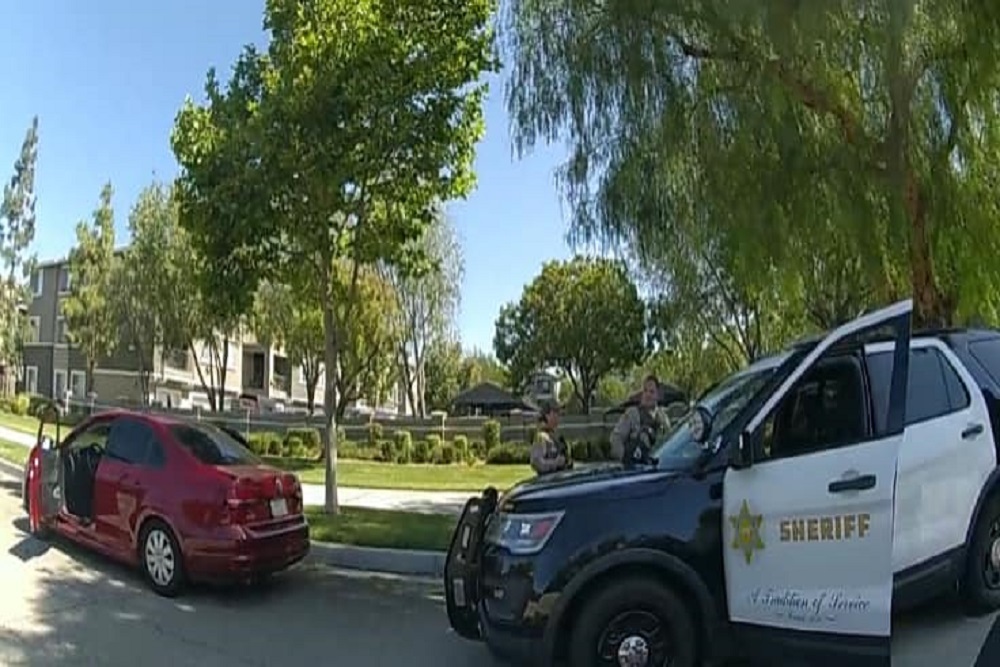 Stolen Vehicle Investigation