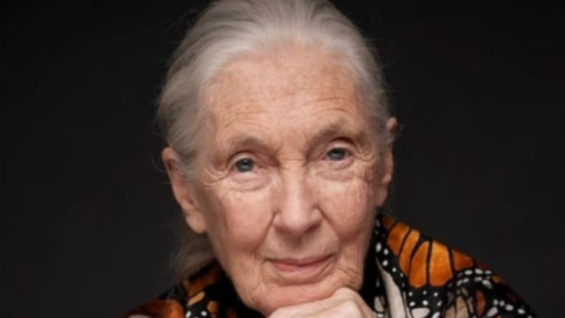 Legendary conservationist Jane Goodall to speak on campus