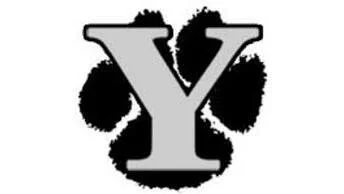 York Cougars top North Augusta Yellow Jackets 15-7 in varsity softball York Cougars top North Augusta Yellow Jackets 15-7 in varsity softball