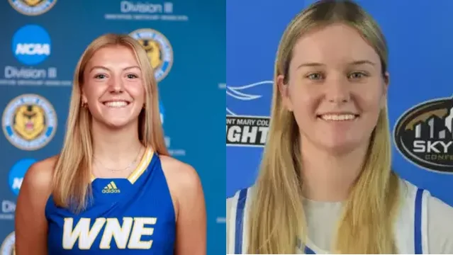 Which former Plymouth Reporter area high school standouts will be in action on Sunday, Nov. 24?