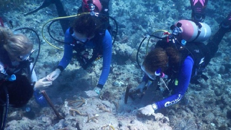 Scientists studying Ian’s impact note artificial reef damage, coral loss
