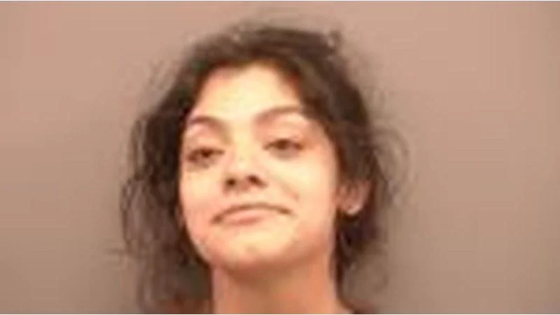 1 booked on domestic charge in Yellow Medicine County on July 28