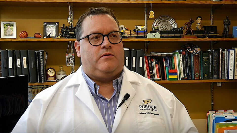 Interview with PVM Faculty Member About Veterinarian Shortage Goes National