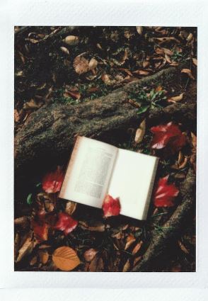 Winter Reading for PreK/4 to Grade 6 Ends