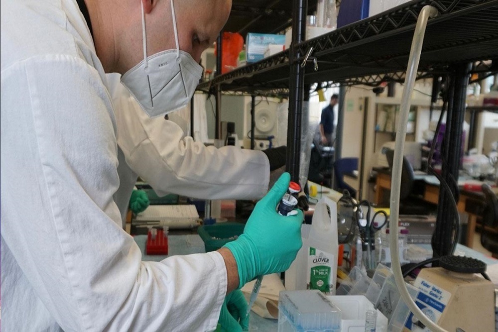 Enrich Your Education with Undergraduate Research