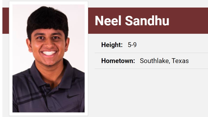 Neel Sandhu