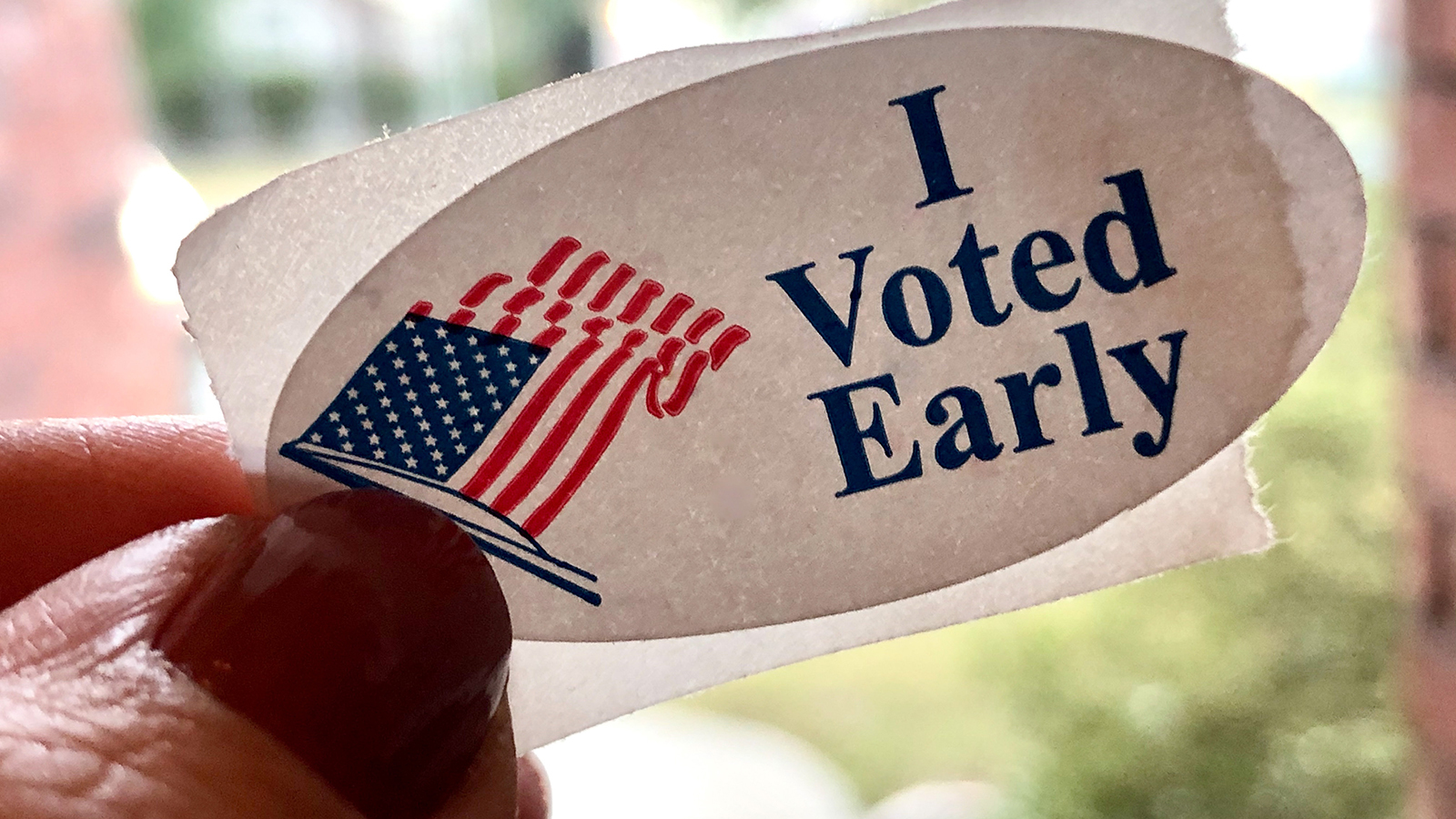 ‘It’s been fantastic’: Georgia early voting turns out record-breaking numbers ahead of midterm election