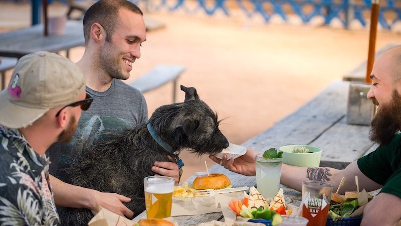 Love-A-Bull and Yard Bar to present Howl-O-Ween event for Pit Bull Awareness Month