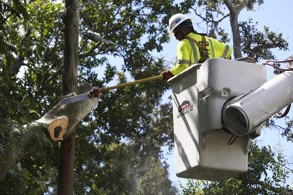 Duke Energy – Vegetation Management aka Tree Trimming