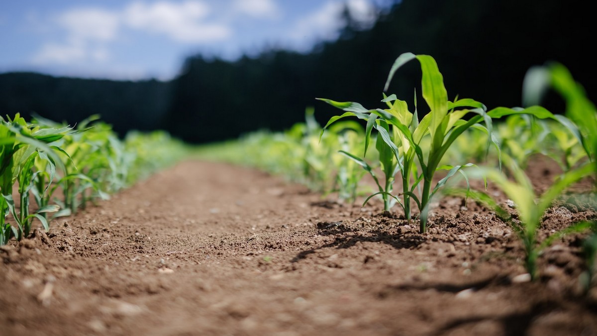 Celebrate Campbell County Farmers on #NationalAgDay