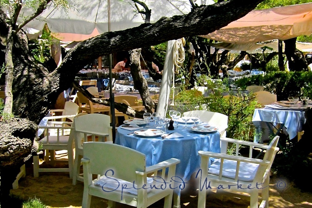Club 55 Senior Luncheon to be held May 18