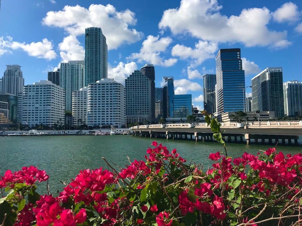 FAU Economist: Short-term Rentals, HOA Rules Drive Up Florida Rents
