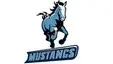 Ralston Valley tops George Washington 12-2 in varsity baseball Ralston Valley tops George Washington 12-2 in varsity baseball