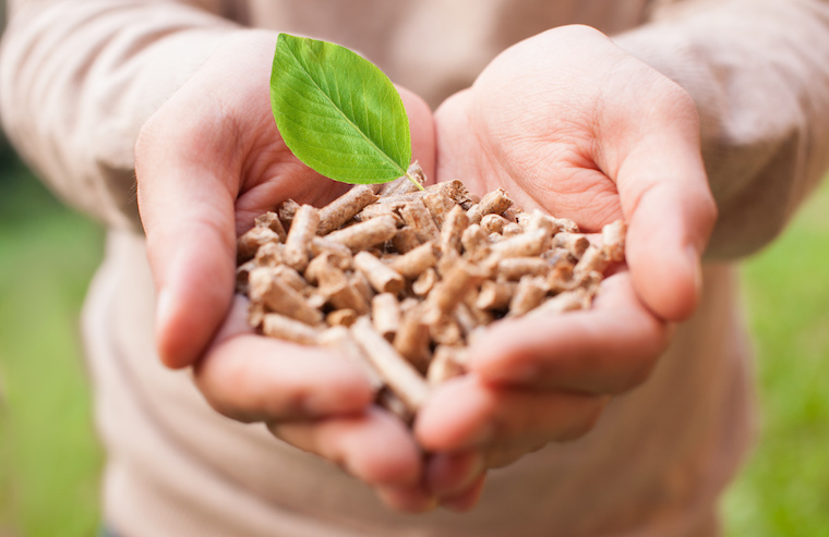 Latin America lacks bio-economy strategy but shows advances Latin America lacks bio-economy strategy but shows advances
